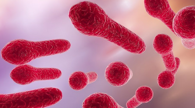Novo método diagnóstico do Tétano: Toxinotipo de Clostridium tetani com identificação das toxinas tetânicas de A a F.
